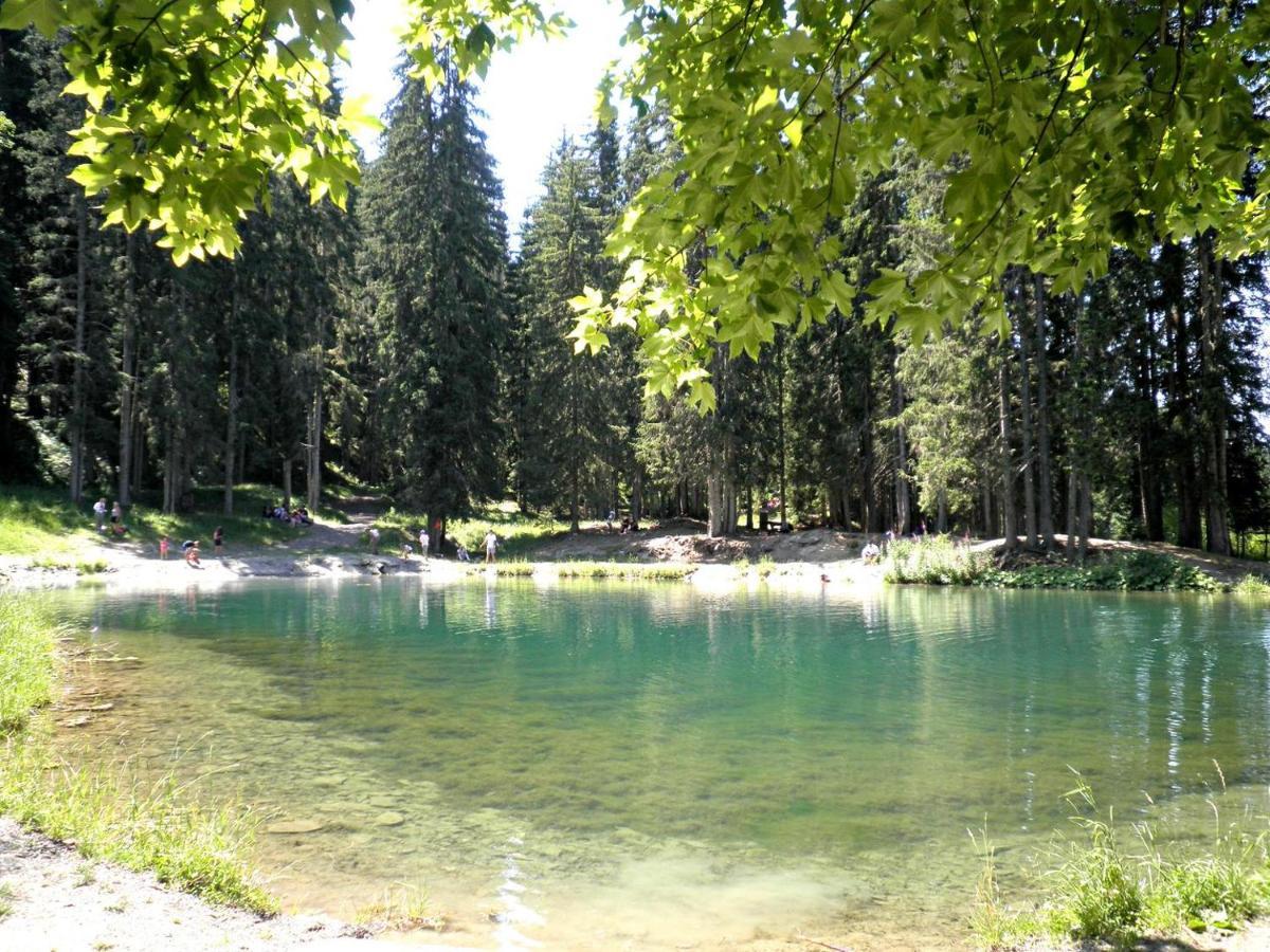 Saint-Nicolas-la-Chapelle La Taniere De Sven - Vue Montagne公寓 外观 照片